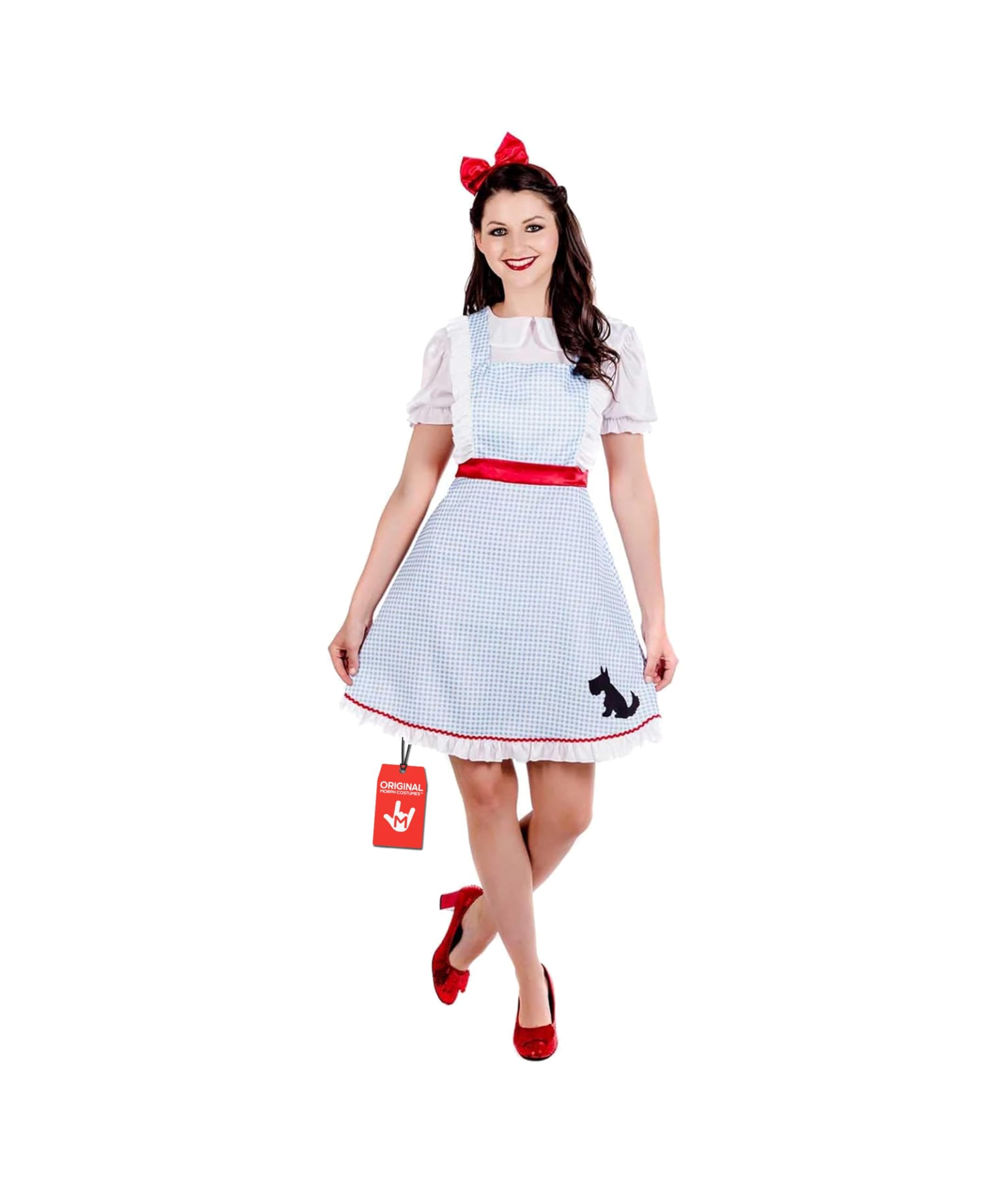 fun shack Adult Dorothy Costume for Women | Classic Dorothy Dress | Perfect for Halloween and Themed Parties
