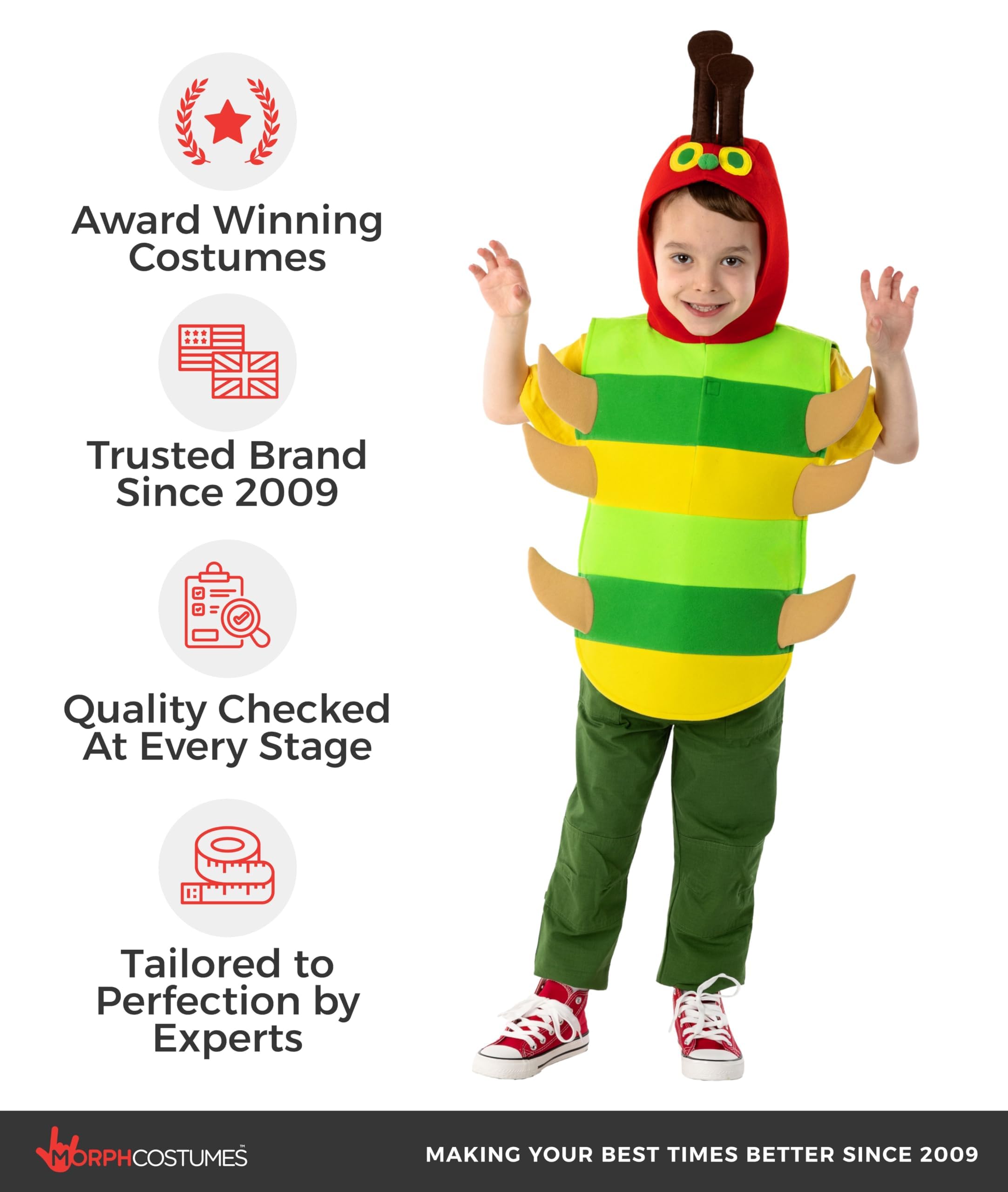 fun shack Caterpillar Costume Kids, Boys Caterpillar Costume, Book Characters Costumes for Kids, Large - Image 5