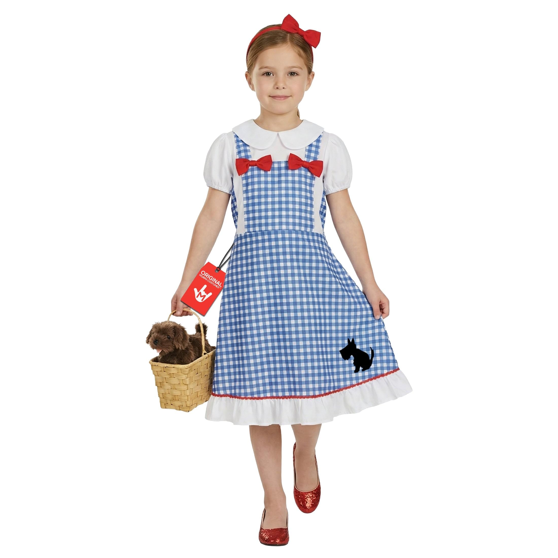fun shack Dorothy Costume for Girls, Wizard of Oz Costumes for Kids, Book Characters Costumes for Kids, Small