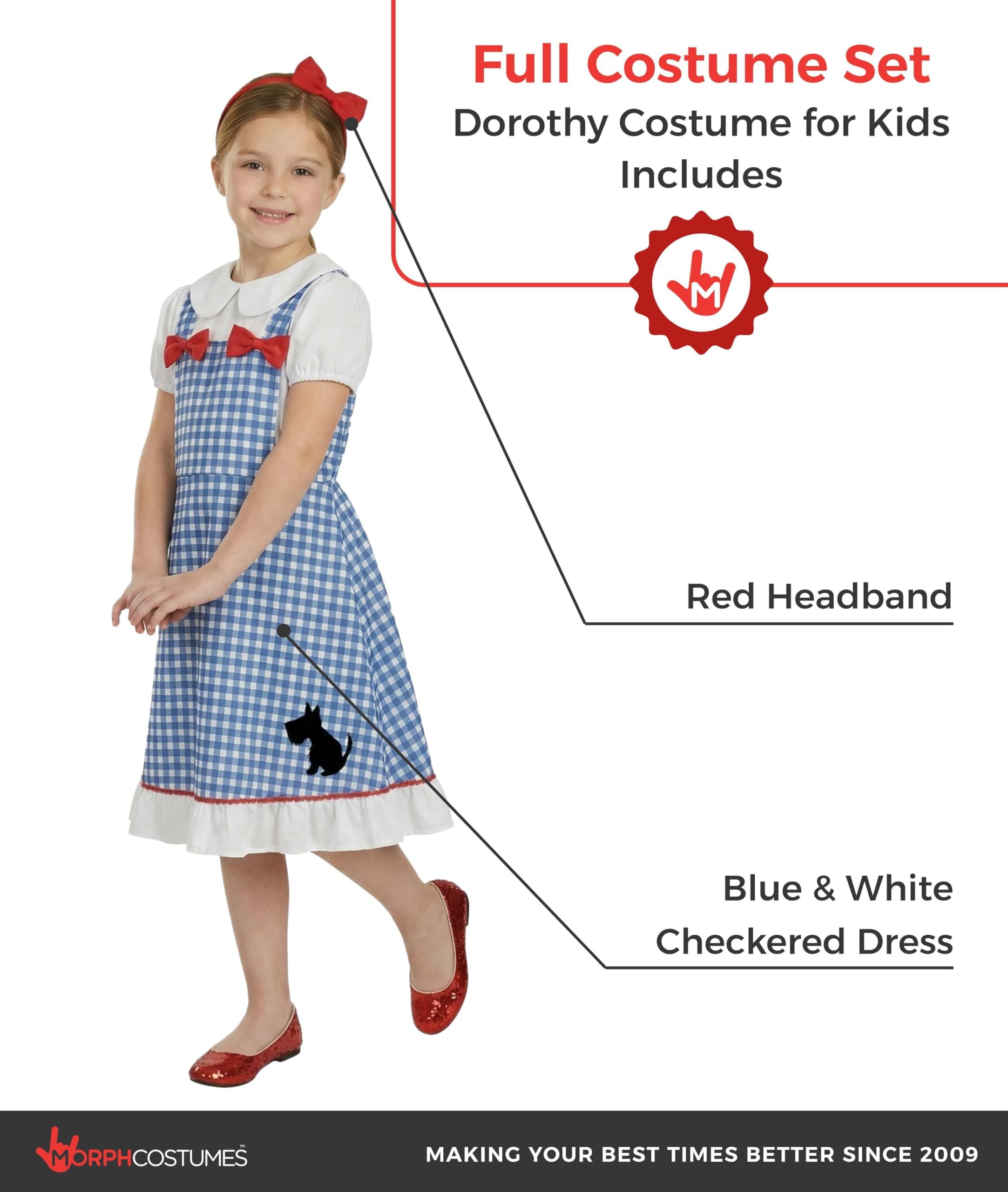 fun shack Dorothy Costume for Girls, Wizard of Oz Costumes for Kids, Book Characters Costumes for Kids, Small - Image 2