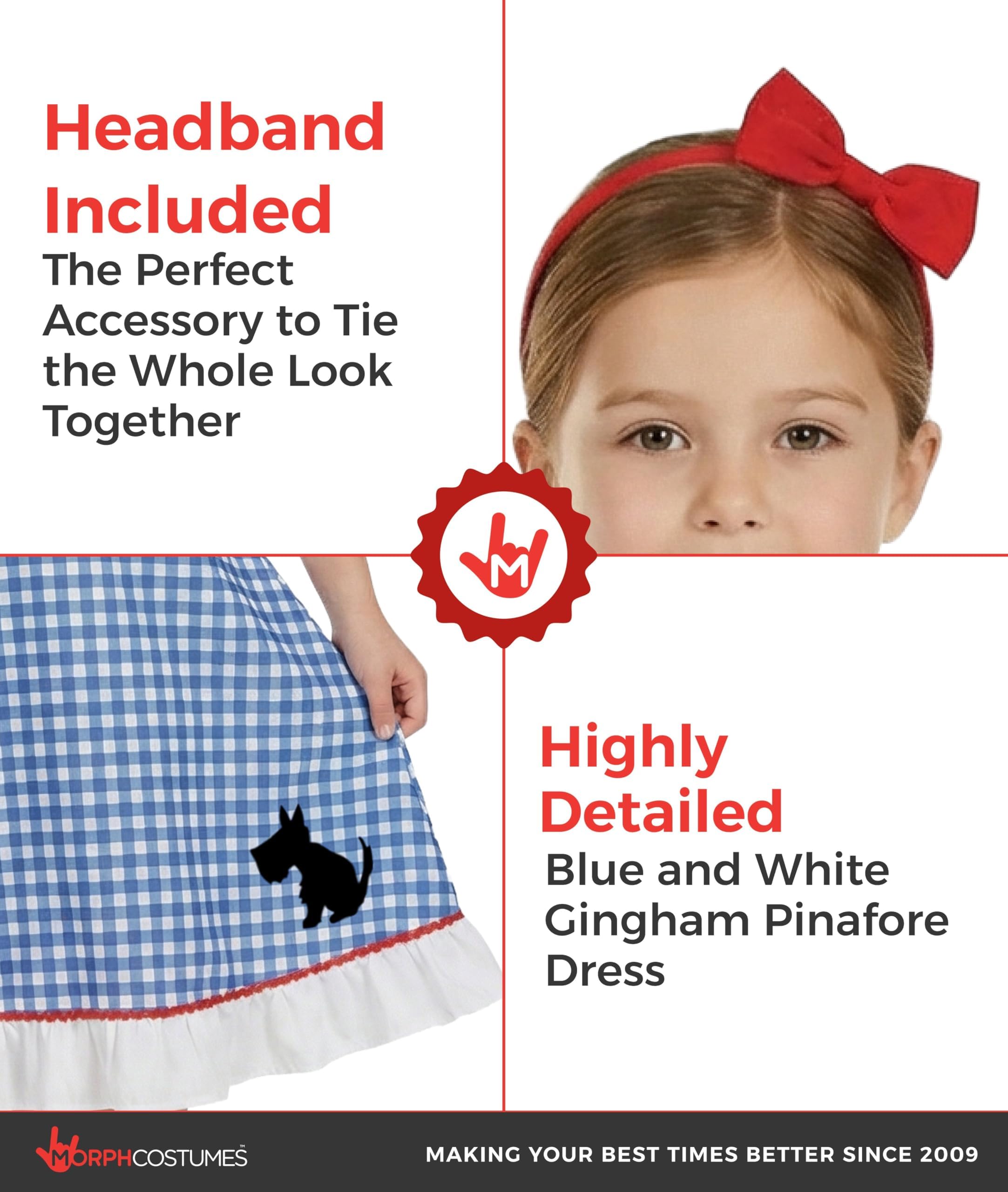 fun shack Dorothy Costume for Girls, Wizard of Oz Costumes for Kids, Book Characters Costumes for Kids, Small - Image 3