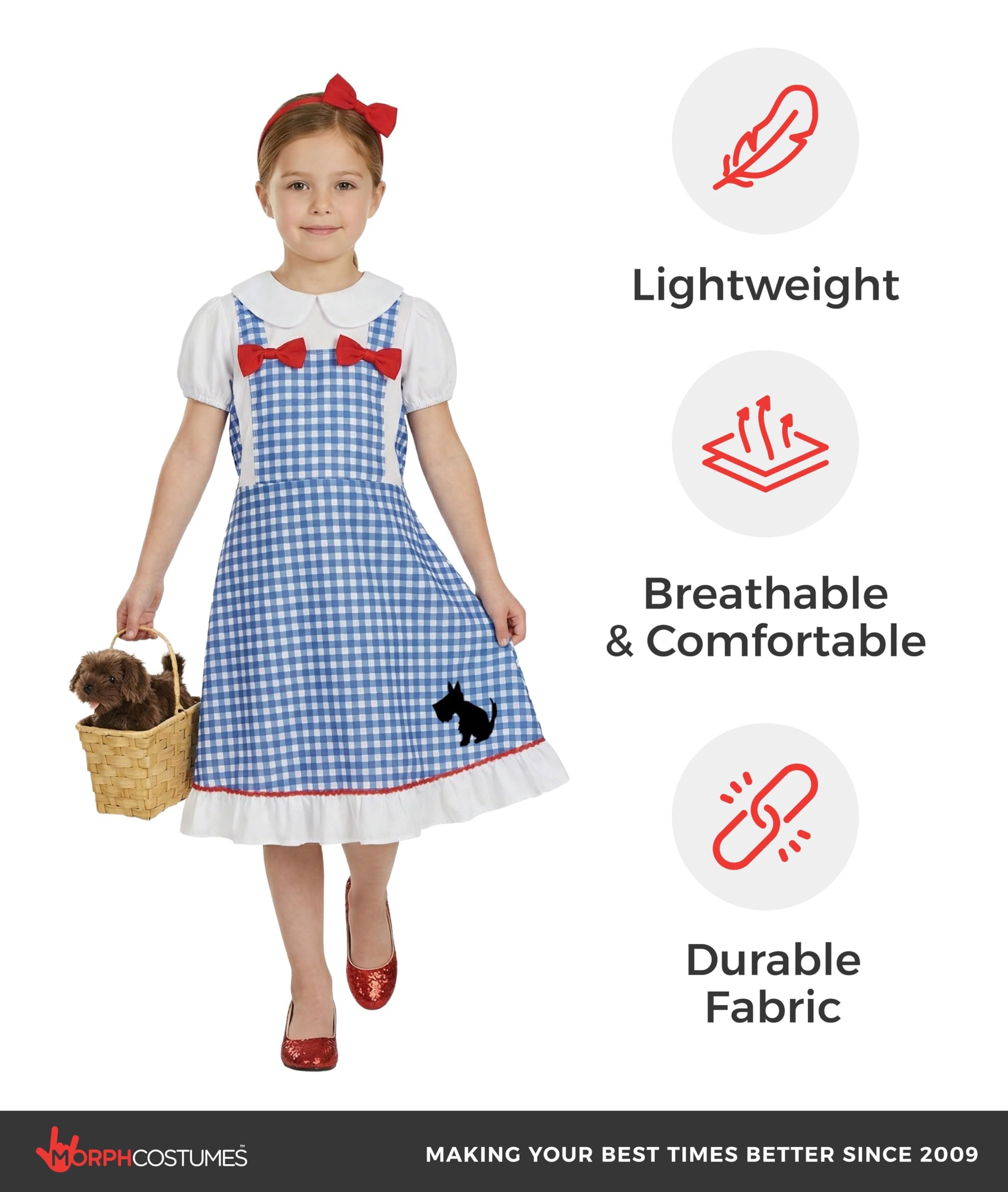 fun shack Dorothy Costume for Girls, Wizard of Oz Costumes for Kids, Book Characters Costumes for Kids, Small - Image 4