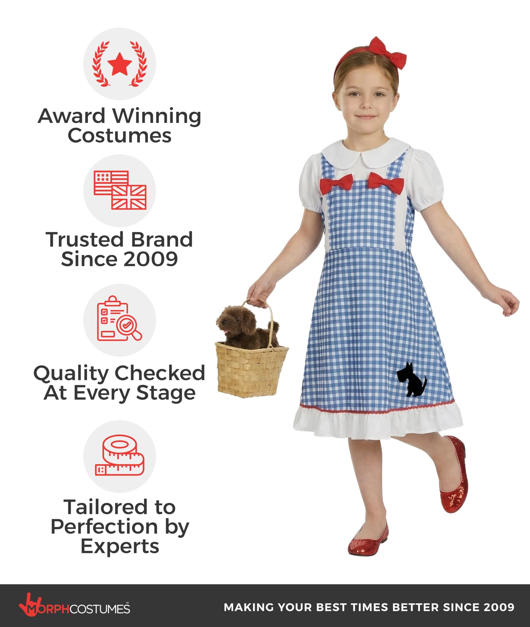 fun shack Dorothy Costume for Girls, Wizard of Oz Costumes for Kids, Book Characters Costumes for Kids, Small - Image 5