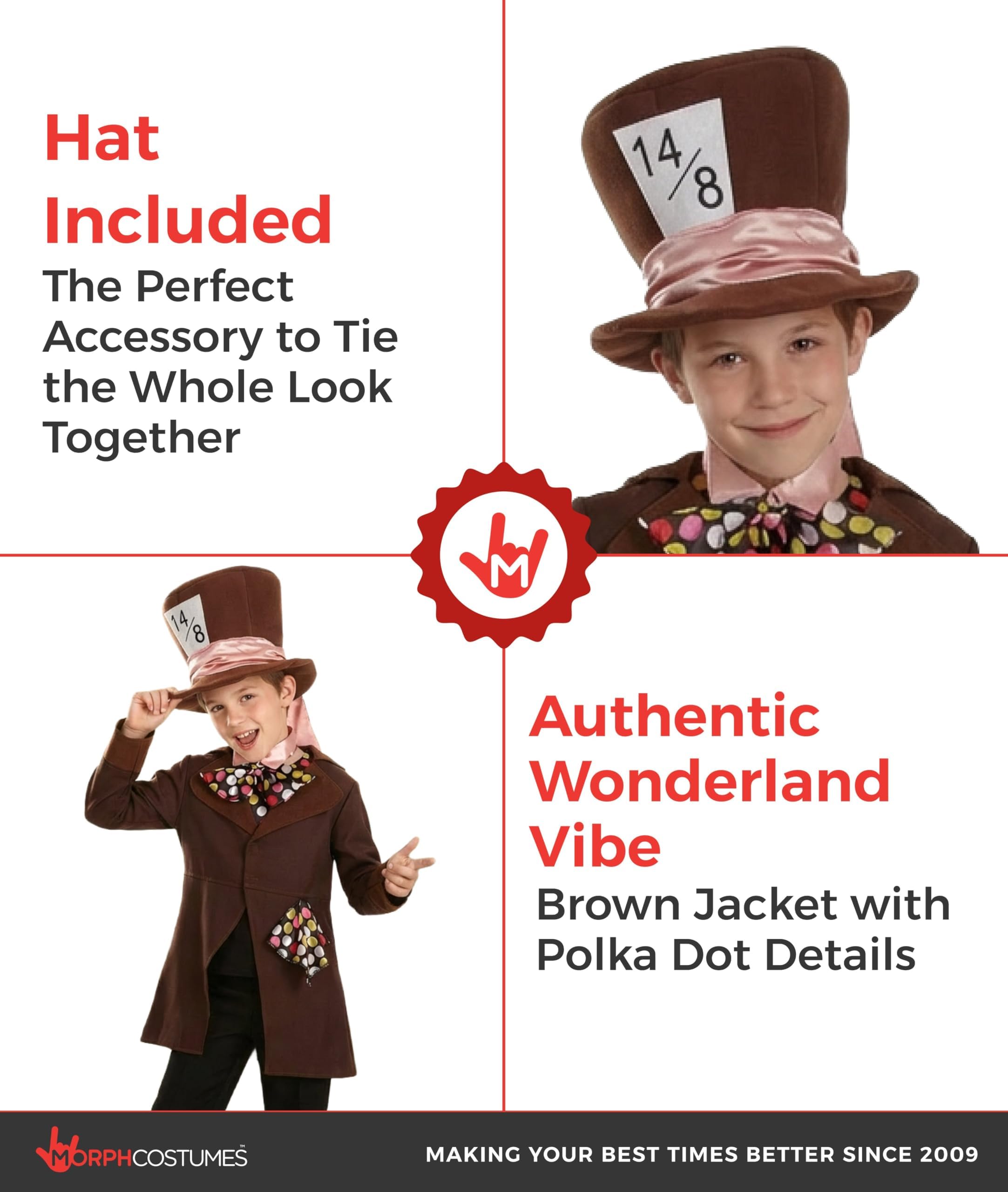 fun shack Hatter Costume Kids, Hatter Costume, Book Character Costumes For Kids Boys, Small - Image 3