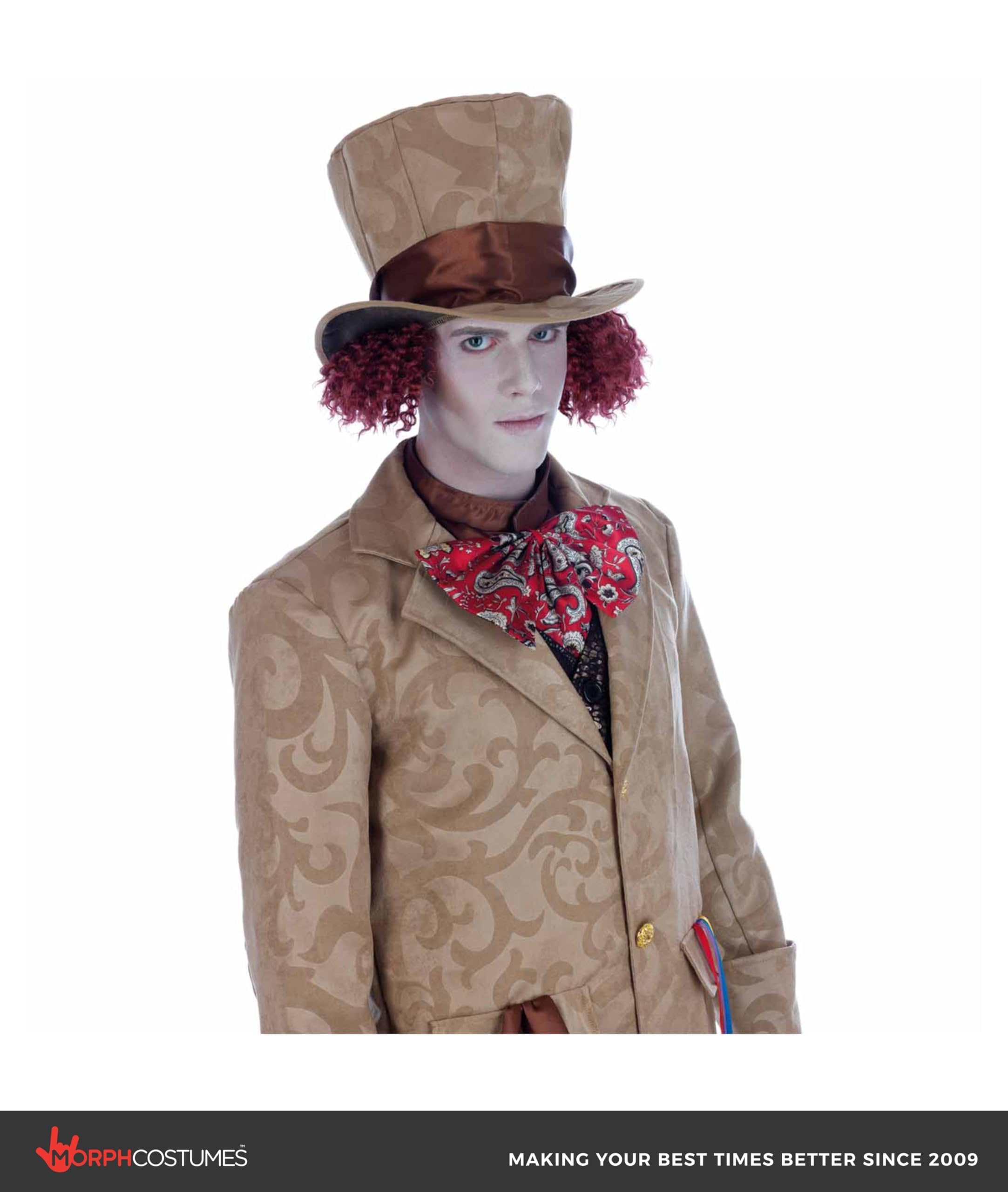 fun shack Hatter Costume Men, Wonderland Hatter Halloween Outfit, Book Character Costume For Adults - Image 3