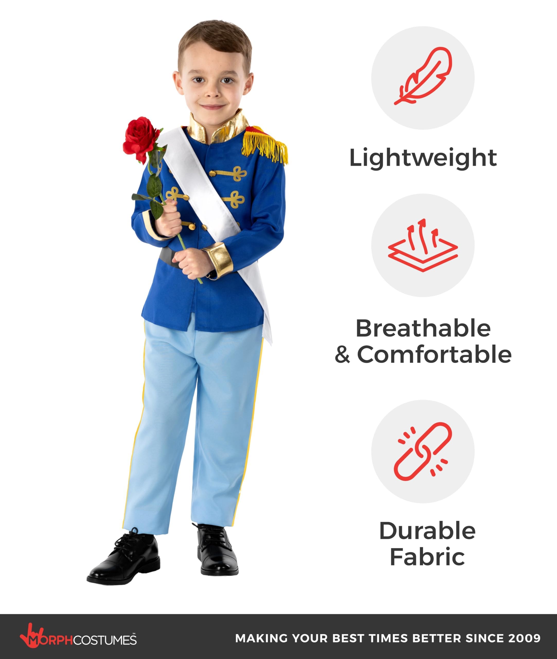 fun shack Prince Costume for Boys, Prince Charming Costume Boys, Book Characters Costumes for Kids, Small - Image 4