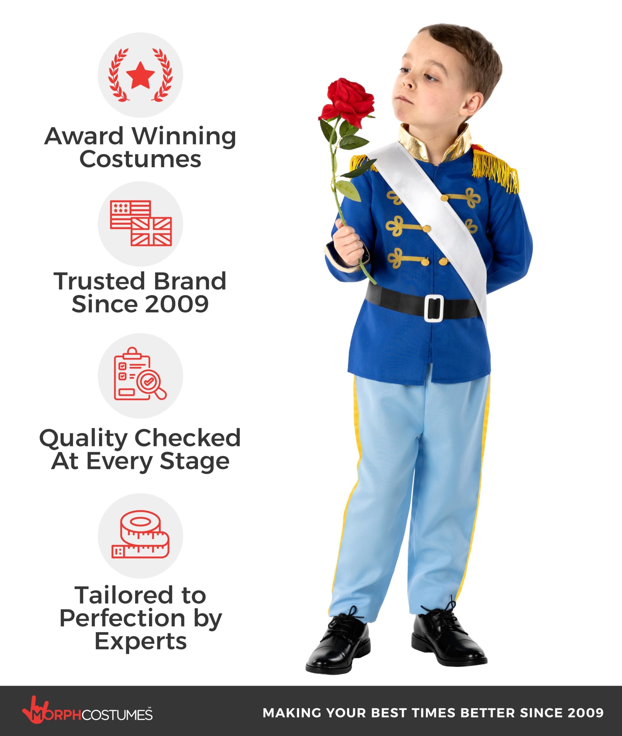fun shack Prince Costume for Boys, Prince Charming Costume Boys, Book Characters Costumes for Kids, Small - Image 5