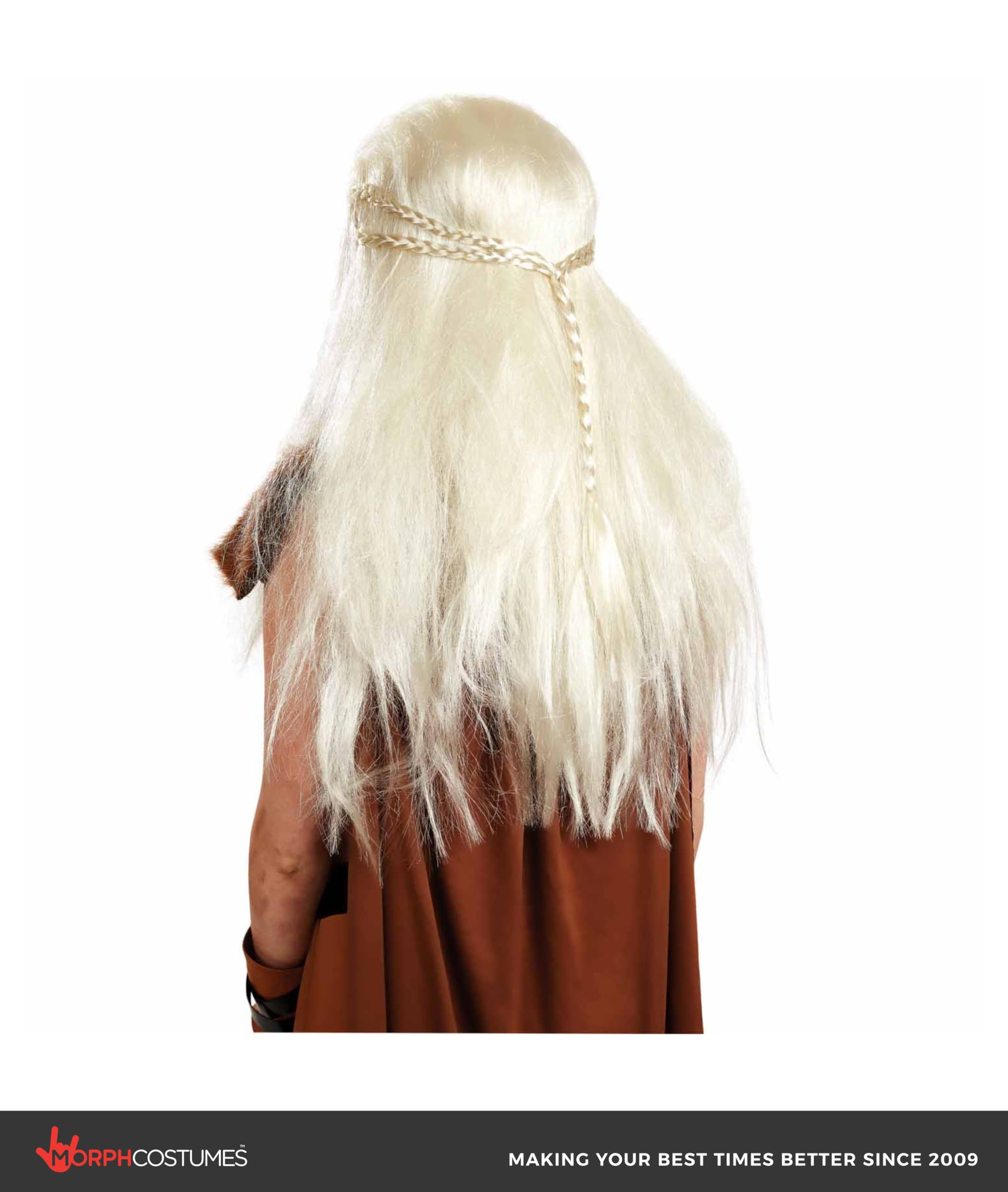 Fun Shack Women's Medieval Wig Adult Costume, Medieval Wig, One Size - Image 2
