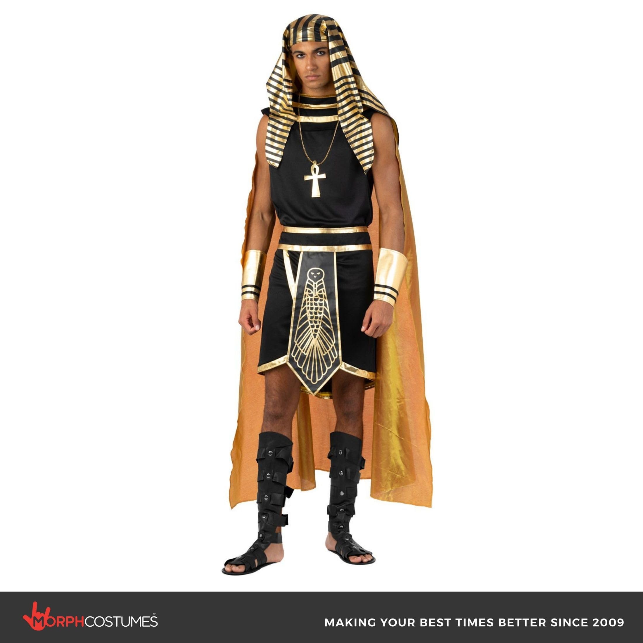 Morph Egyptian Costume Men, Pharaoh Costume Men, Egyptian Halloween Costumes For Adults - Image 4